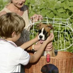 Kit Panier Vélo Chien Doggy Plus + Fixation GTA Klickfix -Vélo Soldes kit panier velo chien doggy plus fixation gta klickfix full 6